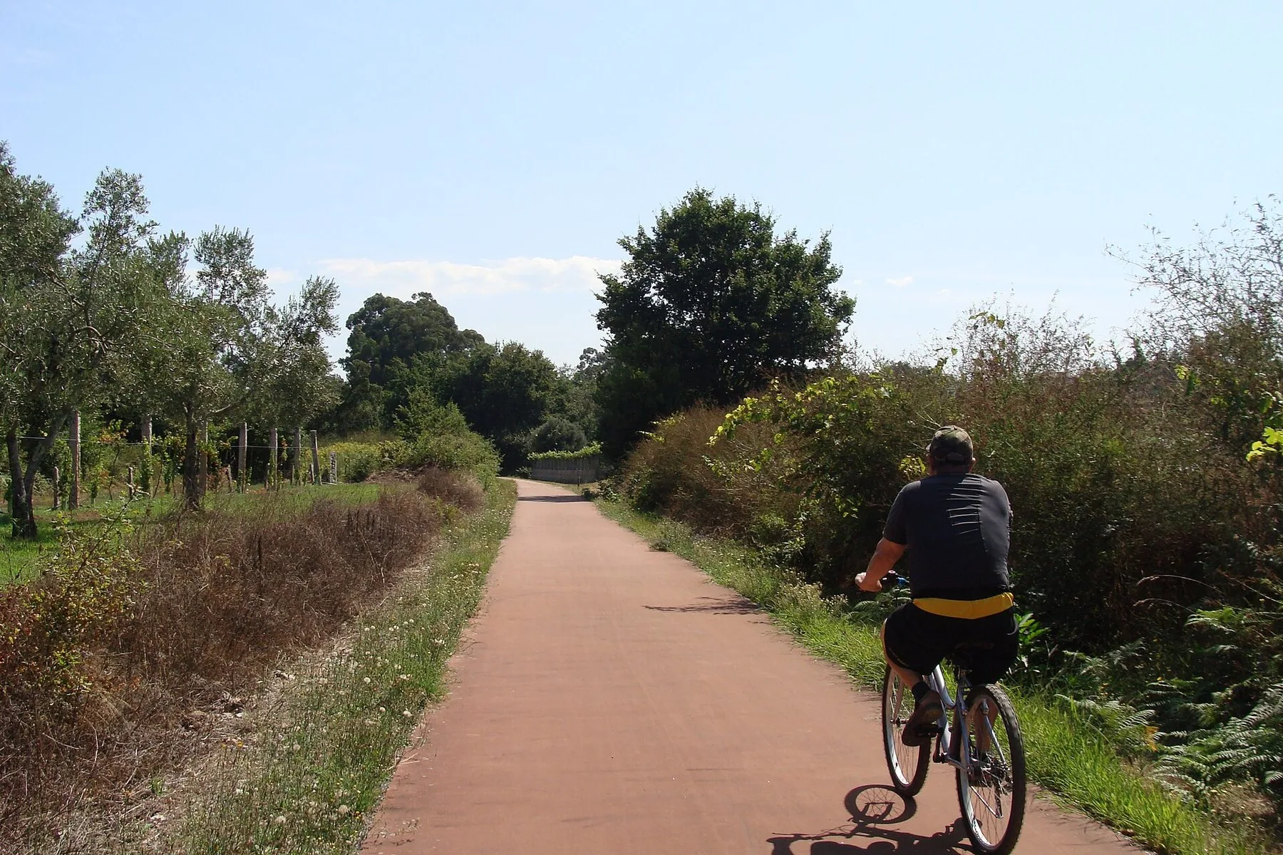 En ensam cyklist som trampar bort längs en rödgrusad cykelbana mellan grönskande buskar och träd