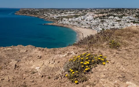 Utsikt från en klippsluttning med gula blommor ner mot en bred sandstrand och ett lågt vitkalkat samhälle vid en vik