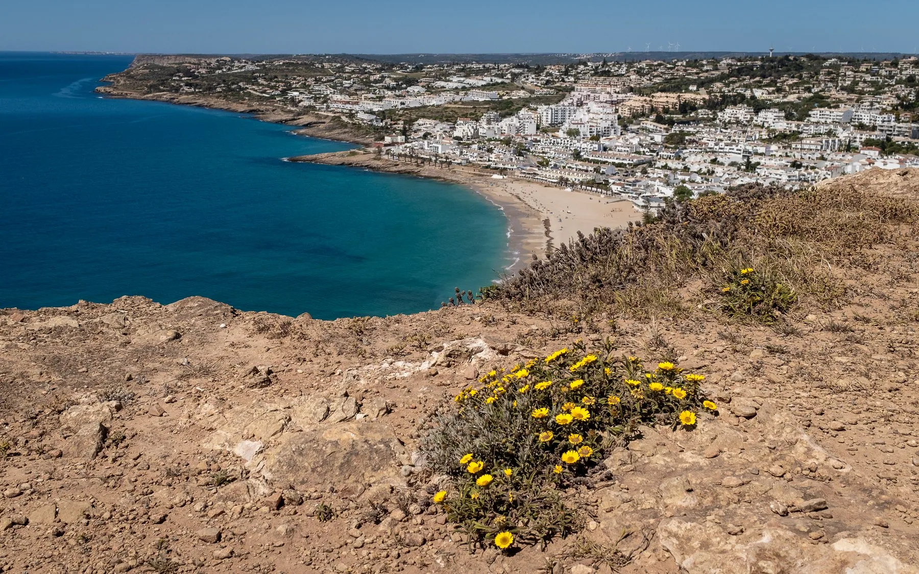 Utsikt från en klippsluttning med gula blommor ner mot en bred sandstrand och ett lågt vitkalkat samhälle vid en vik