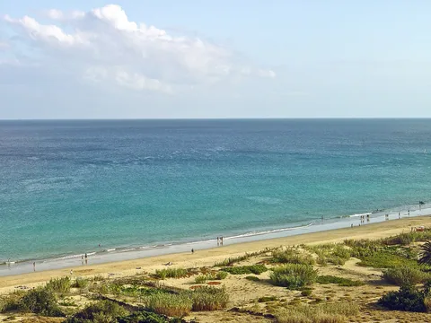 Den långa gyllene sandstranden sträcker sig bort i fjärran längs turkost grunt vatten, med låga dyner och gräs i förgrunden