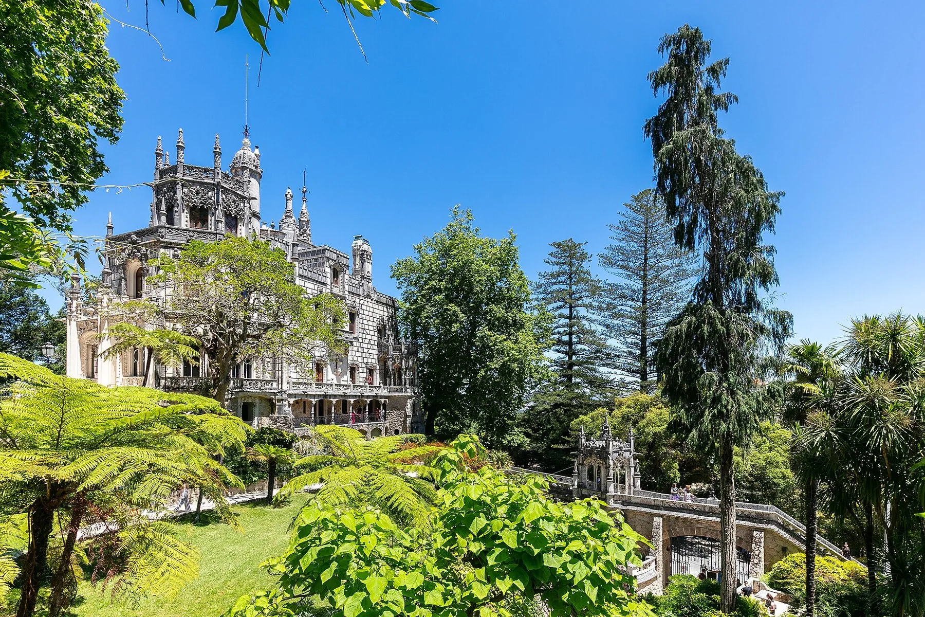 Herrgården Quinta da Regaleira med tornspiror och stenutsmyckning, sedd genom parkens ormbunkar och palmer