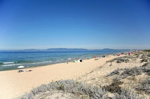 Den långa, raka sandstranden vid Comporta med låg dynvegetation i förgrunden, brytande vågor längs vattenlinjen och en bergssiluett tvärs över bukten.