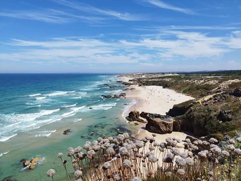 Praia do Malhão sedd från klippkanten: torkade strandväxter i förgrunden, en öppen strand i naturparken med dyner och klippor längs kusten och ingen bebyggelse vid sanden.