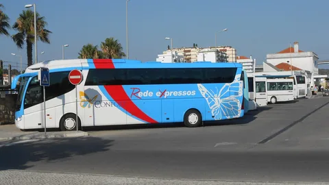 En vit och blå långfärdsbuss märkt Rede Expressos står vid en busshållplats med palmer och låga hus bakom
