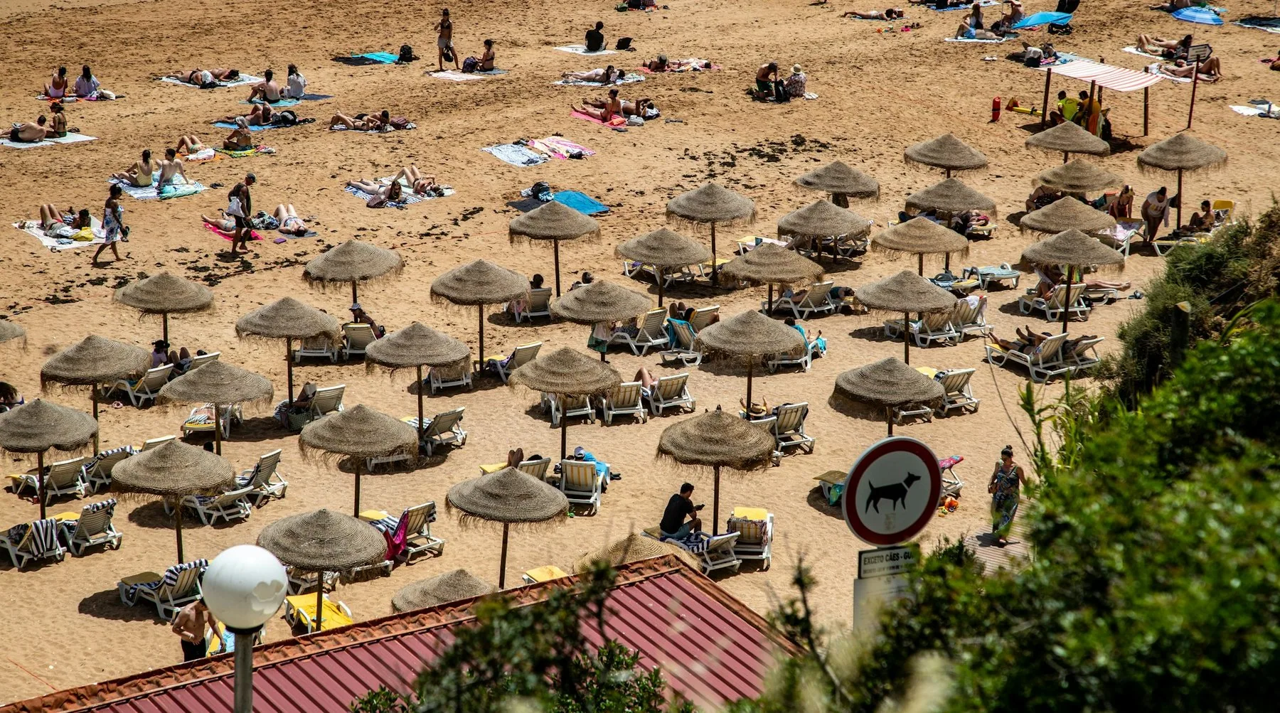 Strand tätt packad med halmparasoller och solbadande människor på gyllene sand