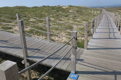 En träspång med repräcken går rakt fram över gräsbevuxna sanddyner, med en blå vägvisare med gul pilgrimsmussla nedfälld i plankorna
