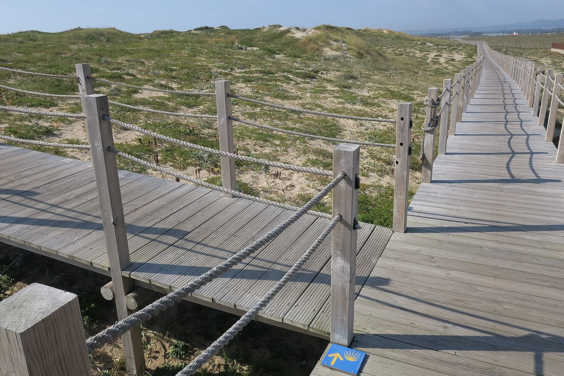 En träspång med repräcken går rakt fram över gräsbevuxna sanddyner, med en blå vägvisare med gul pilgrimsmussla nedfälld i plankorna